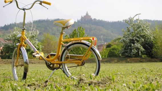 Panoramic Bologna Bike Tour: Highlights & Local Tips