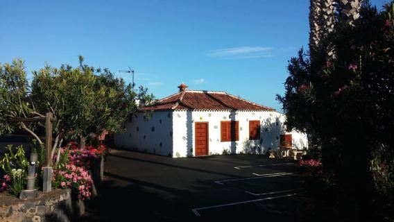 Tenerife Wine: Guided Tour & Tasting with Canarian bites