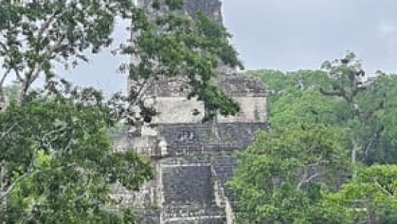From Flores: Tikal from Mundo Maya Airport Lunch + Guide