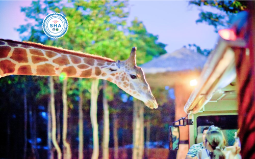 清邁夜間動物園 Chiangmai Night Safari