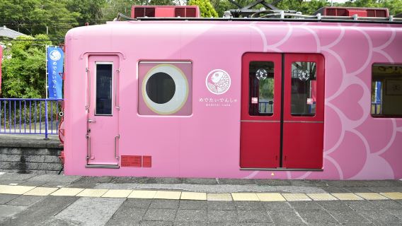 Osaka Nankai Express Railway | Kansai Airport / Namba / Wakayama / Koyasan