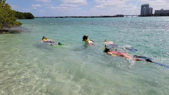 MiamiTours