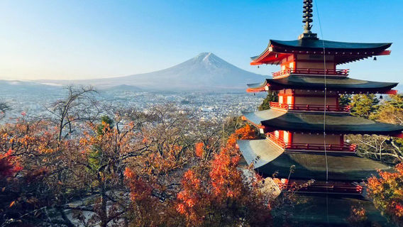 東京日遊