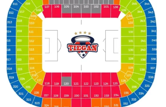 安聯球場-德甲-拜仁主場球票成人