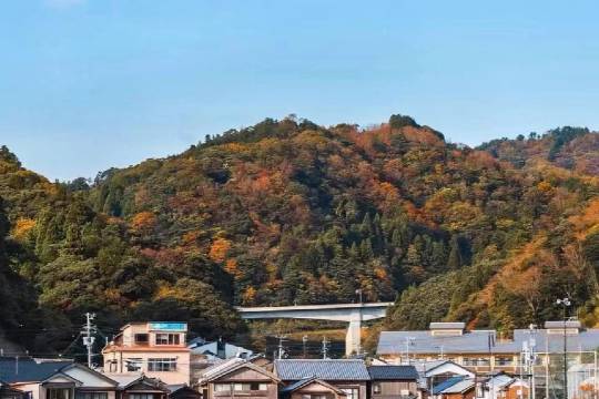 日本天橋立+伊根的舟屋一日遊