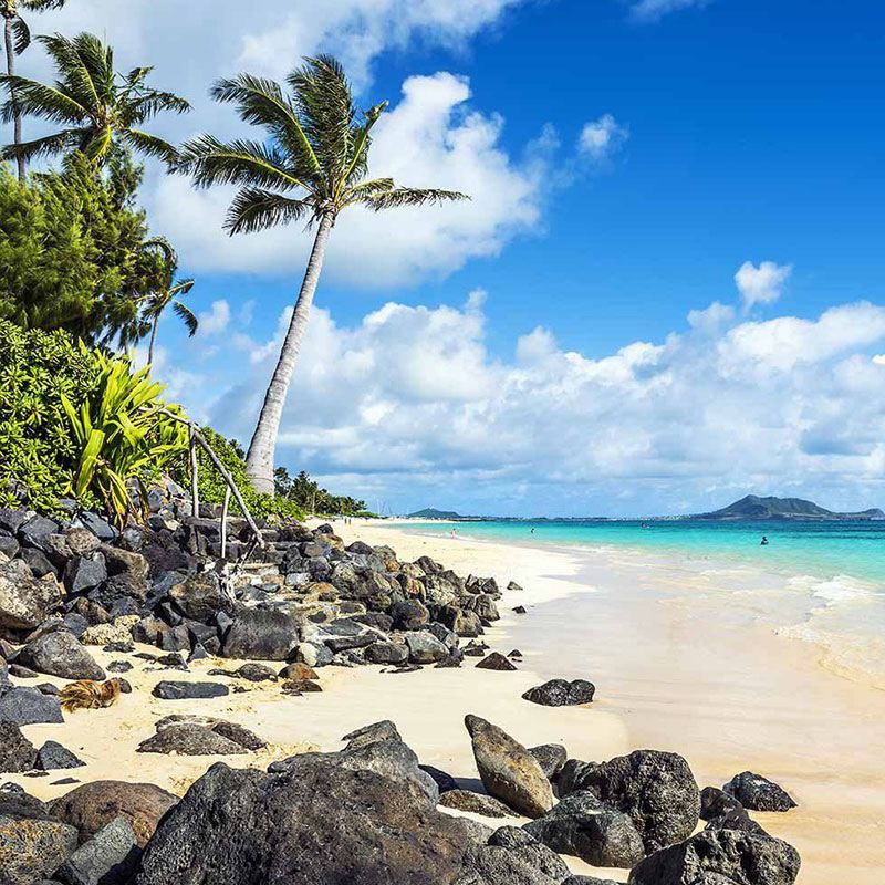 美國夏威夷檀香山一日遊包車中英文司導561669315385