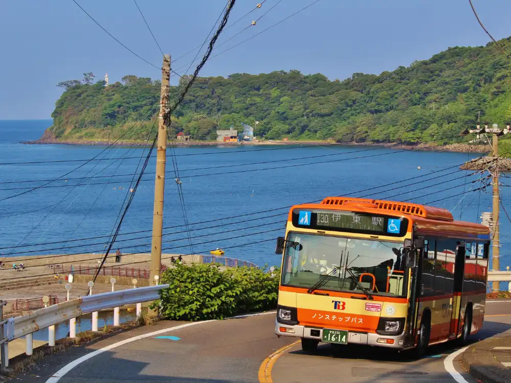 Izu Tokai Bus Free Ride Pass 