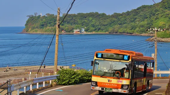 Izu Tokai Bus Free Ride Pass "Ito & Izu Kogen 2-day Ticket"