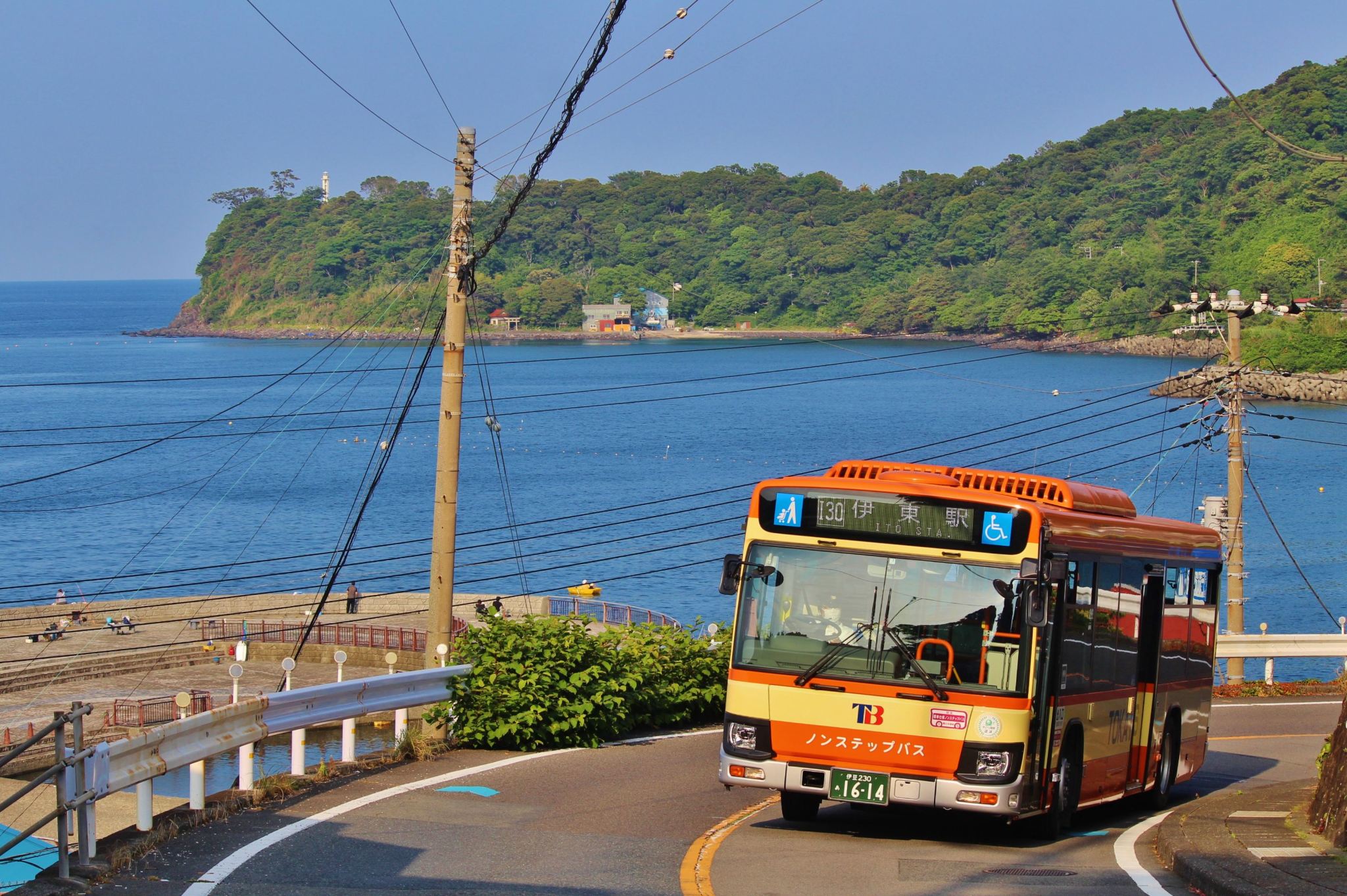 Tiket Akses Bebas Bus Tokai "2 Hari Izu-Ito Kogen"