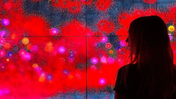 Barcelona: "El Born" Walking Tour + Entry to Picasso and Moco Museums