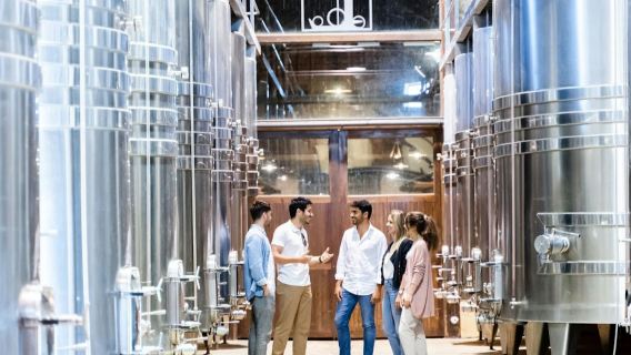 Sintra, Pena-Palast & Weingut: Tagesausflug ab Lissabon + Weinprobe & Tapas