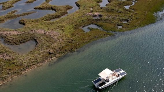 Ria Formosa: Tour du thuyền sinh thái năng lượng mặt trời từ Faro
