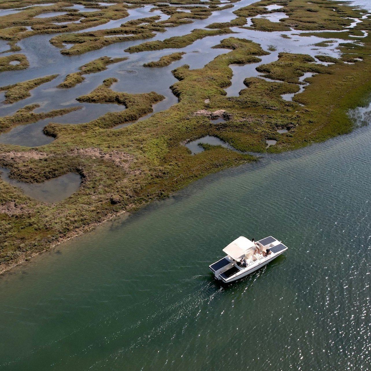 Ria Formosa: Solar Eco Boat Tour from Faro