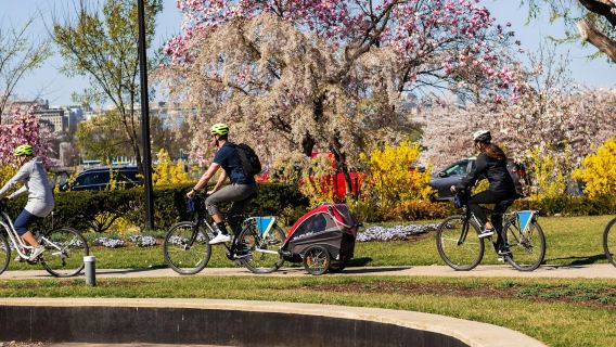 Washington DC: 3-stündige geführte Fahrradtour zu Denkmälern und Gedenkstätten
