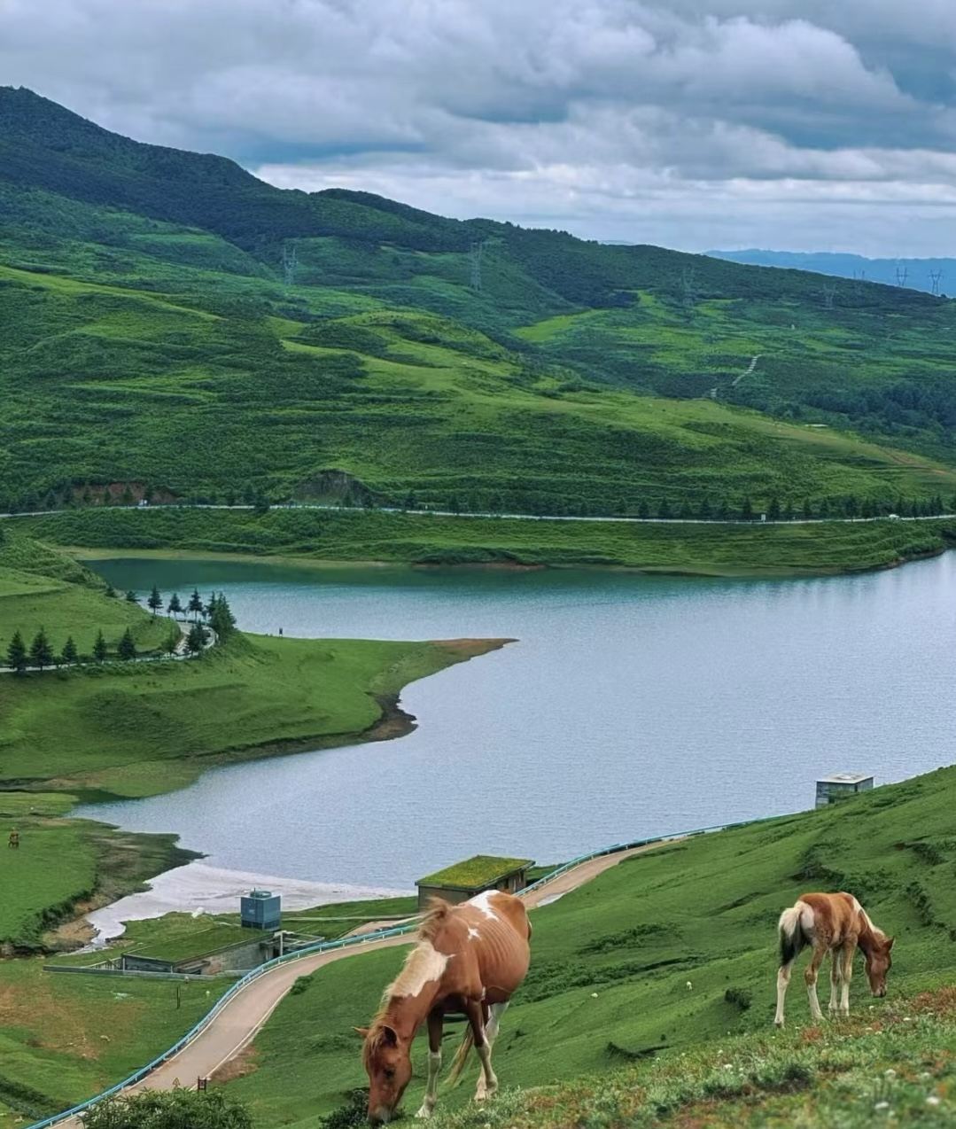 六盤水烏蒙大草原一日遊【上門接送．無購物一單一團－獨立用車】