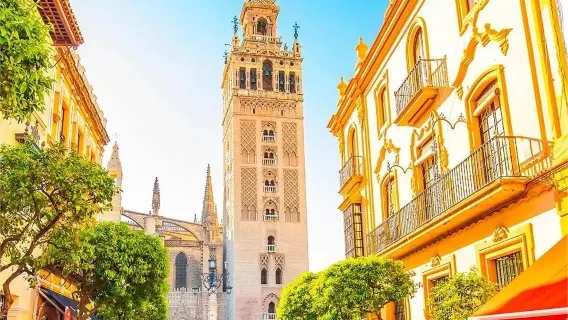 스페인 + 세비야 대성당 + 세비야 플라멩코 박물관 + 메트로폴 파라솔