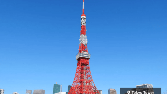 HakoneTravel Services