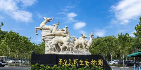 北戴河海上酒吧公園+秦皇島野生動物園+角山長城/英文導遊O