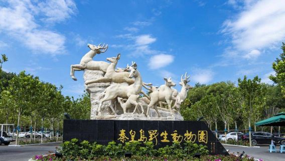 Парк баров Beidaihe Seaside + Парк дикой природы Qinhuangdao + Великая китайская стена Jiaoshan / англоговорящий гид