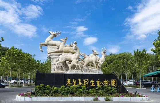 北戴河海上酒吧公園+秦皇島野生動物園+角山長城/英文導遊O