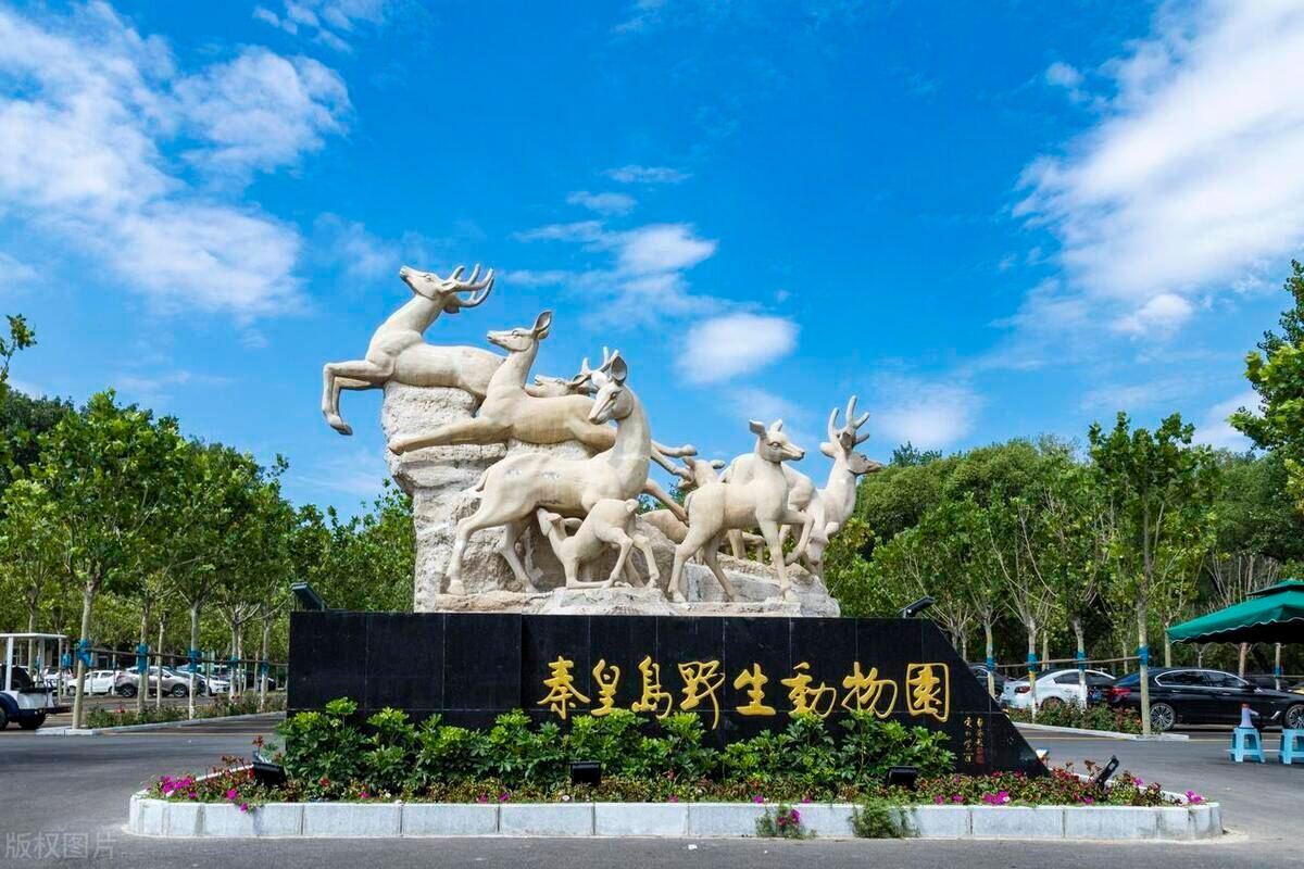 Beidaihe Seaside Bar Park + Qinhuangdao Safari Park + Jiaoshan Great Wall (English-speaking Guide)