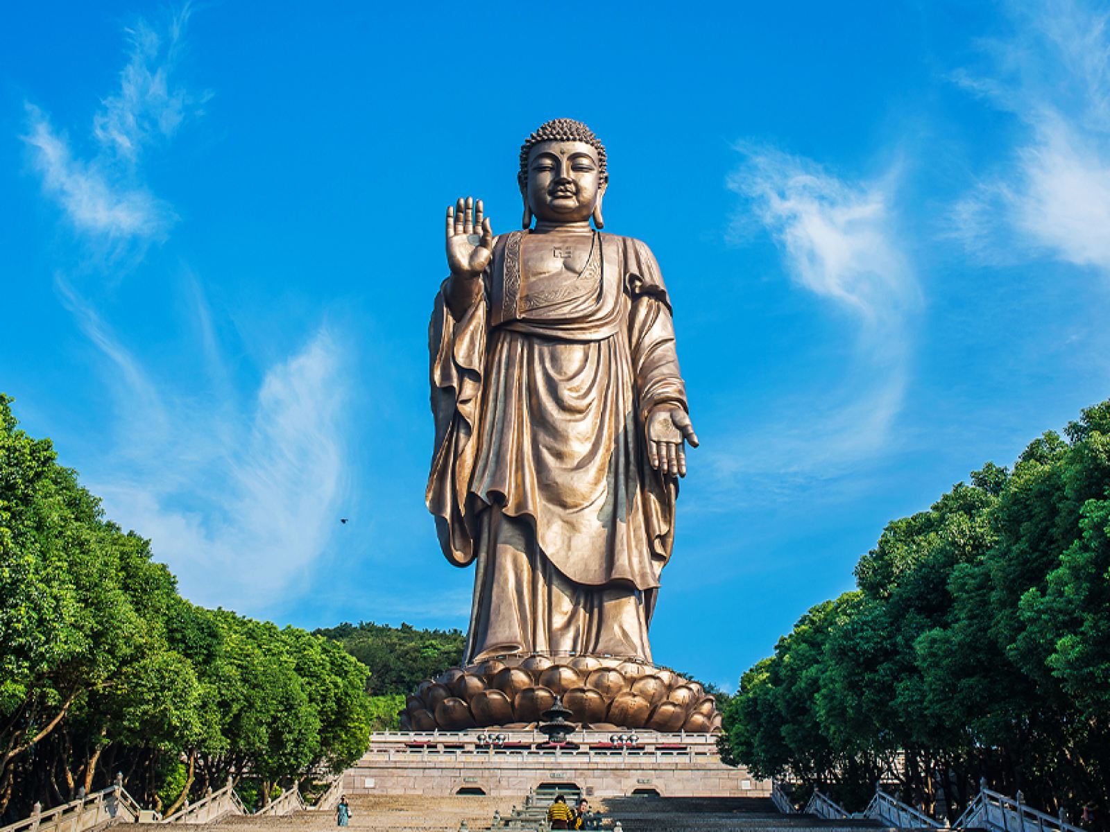 พิพิธภัณฑ์สัตว์น้ําอู่ + เมืองโบราณหุยซาน + พระใหญ่วัดหลิงซาน|เหมารถทัวร์วัน [จีน อังกฤษ รัสเซีย ฝรั่งเศส เยอรมัน สเปน] #