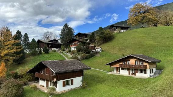 lawatan sehari sewaan peribadi Zurich-Lucerne-Gunung Titlis Switzerland / jadual boleh disesuaikan