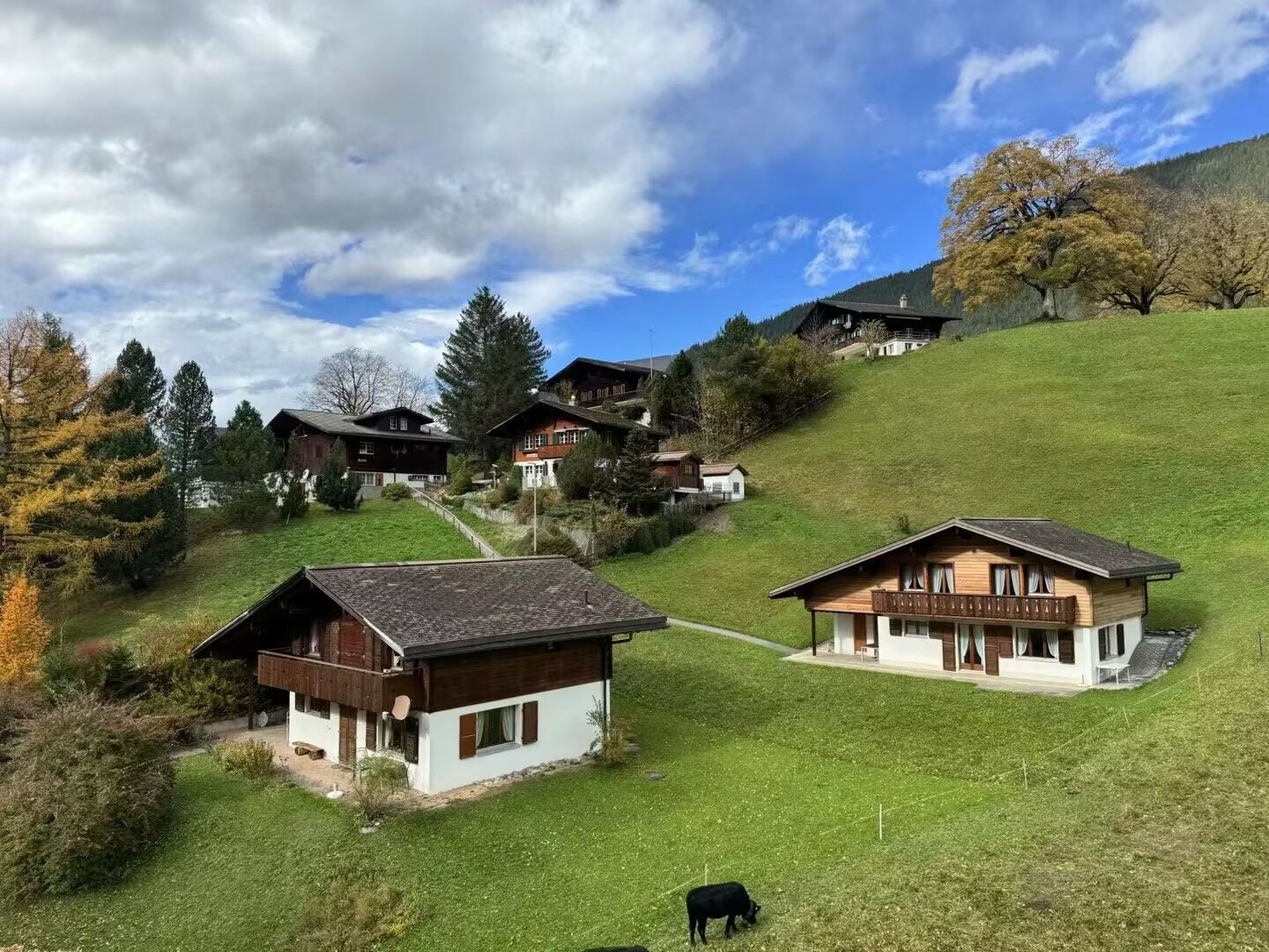 Excursión de un día en servicio de coche privado con conductor desde Zúrich hasta la ciudad vieja de Lucerna y el monte Titlis / itinerario ajustable