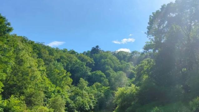 Changbai Mountain West Slope Rafting / Private Transfers / Premium Service / Small Group Tours