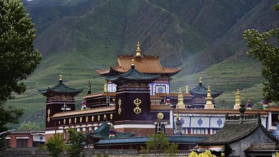 蘭州來回：拉卜楞寺+桑科草原+甘加祕境一日遊