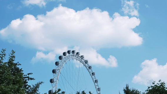 one-day tour of Rizhao Lighthouse Scenic Area + Wanpingkou Seaside Scenic Area + Dongyi Town with English service