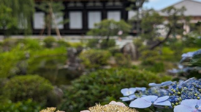 日本京都-瑠璃光院-三千院-貴船神社-嵐山-熱門景點一網打盡