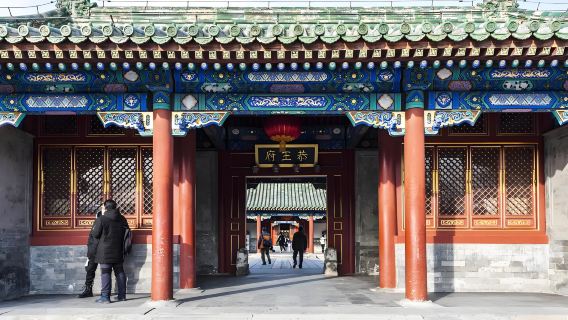 베이징 하이라이트 프라이빗 일일 투어 - 이화원, 공왕자 저택, 천단, 라마 사원, 명나라 왕릉, 후통, 올림픽 랜드마크 (다국어 투어 가이드 옵션)