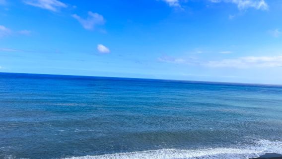 【好友同行‧享8折優惠】環島觀光主題列車/花蓮-新左營單程車票