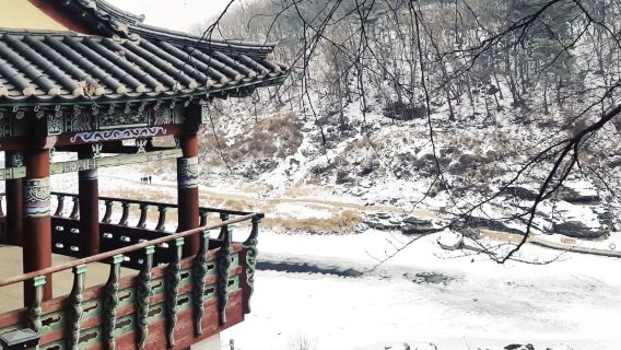 Impronte storiche e paesaggio fluviale | Tour di un giorno alla scoperta del Secondo Tunnel e del Padiglione Goseok