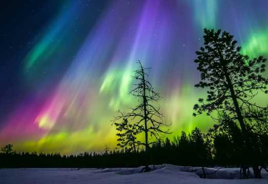 Rovaniemi: Ice Floating in Forest Lake with Aurora Borealis