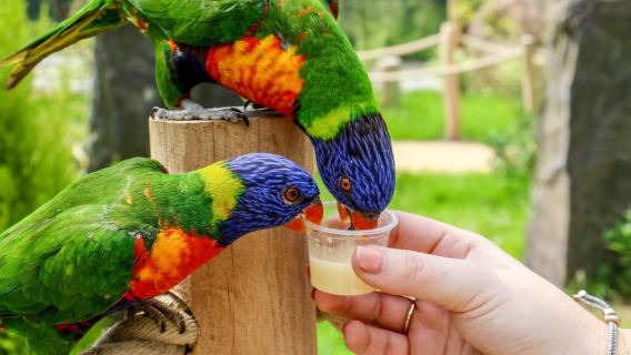 Blackpool: Zoo Admission Ticket