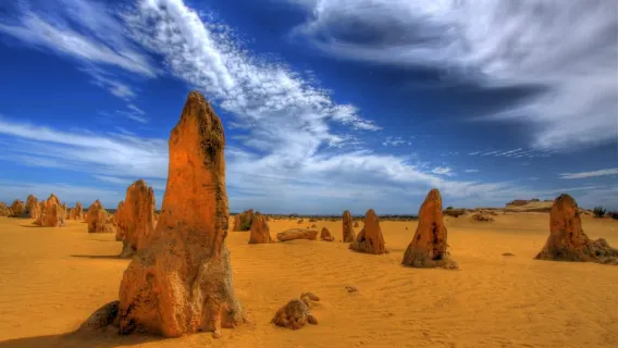 Từ Perth: Tour tham quan trong ngày Sa mạc Pinnacles, Yanchep và Thung lũng Swan