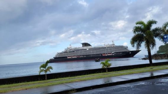 Da Roseau: tour panoramico di cascate, gole e spiagge