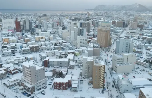 諮詢後下單/日本函館山觀景台五稜郭塔郭公園八幡坂金森紅磚倉庫/機場/點對點用車/旅遊旅行司導/專車服務