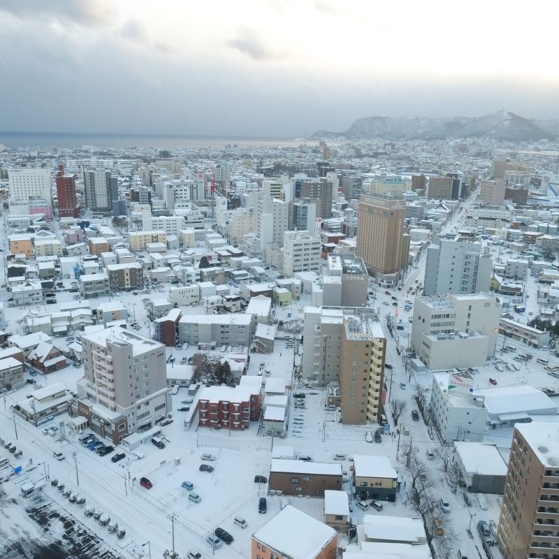 Book after consultation / Mt. Hakodate Observatory, Goryokaku Tower, Goryokaku Park, Hachiman Slope, Kanemori Red Brick Warehouse / Airport / Point-to-point car service / Tour guide service / Private car service