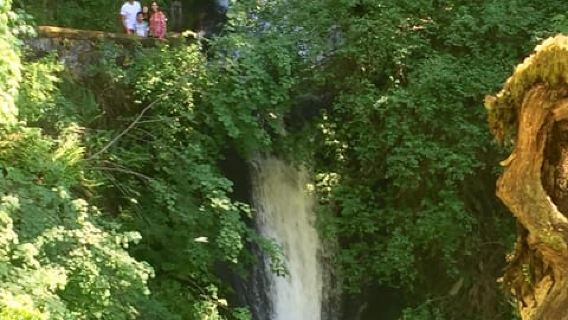 Columbia River Gorge Half-Day Small-Group Hiking Tour