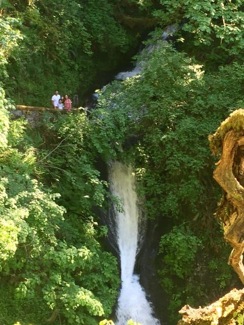 ทัวร์เดินป่ากลุ่มเล็กครึ่งวัน Columbia River Gorge