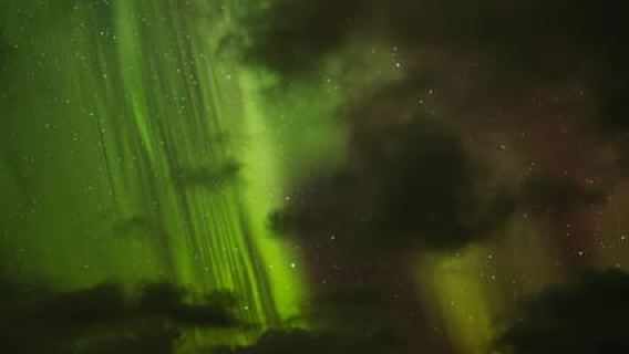 Bodø: safari all'aurora boreale