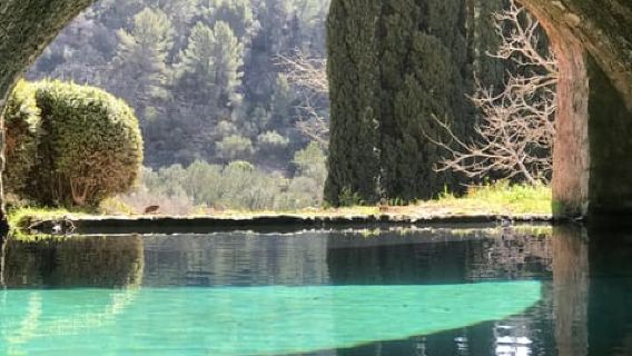 The most beautiful gardens in Mallorca