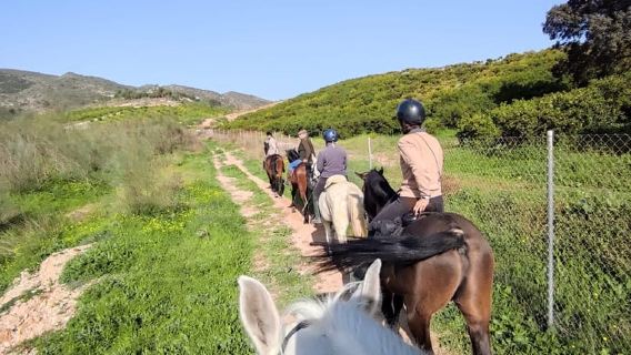 Geführte Reittour durch das Guadalhorce-Tal