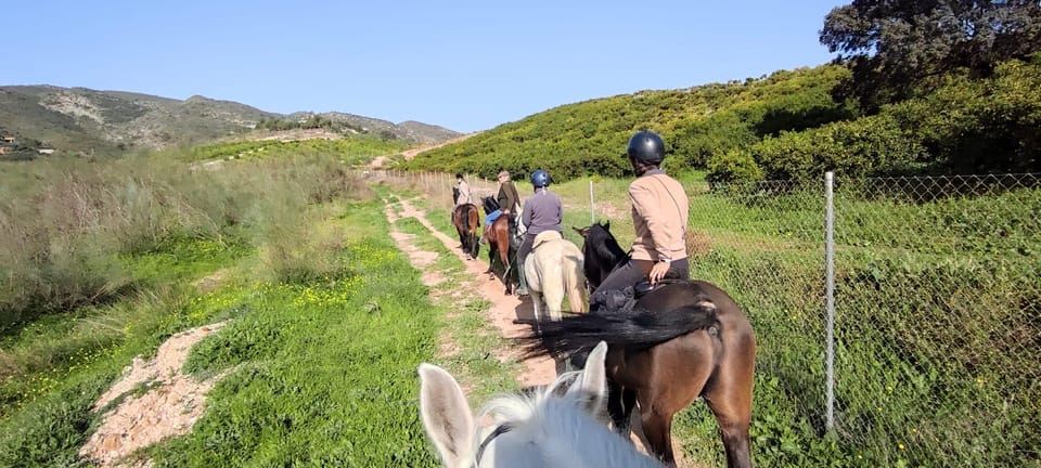 Geführte Reittour durch das Guadalhorce-Tal