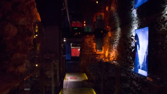 Wawel Castle, Cathedral, Rynek Underground Tour with Lunch