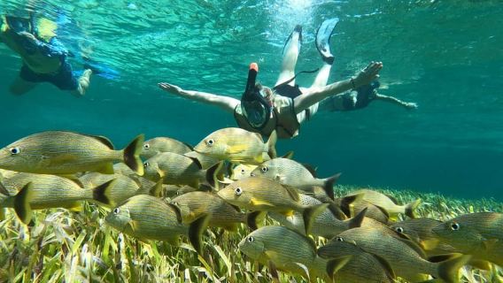 Private Jeep tour to Punta Sur park + snorkel + Lunch