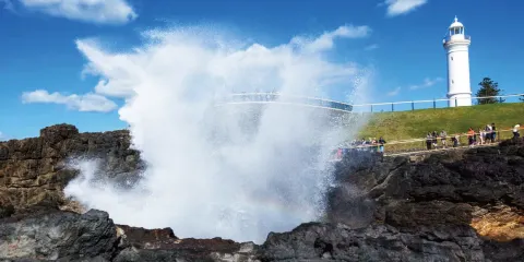 悉尼卧龍崗噴水洞一日遊